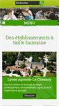 Mobile Screenshot of lechesnoy.fr